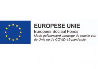 Logo Europees Sociaal Fonds